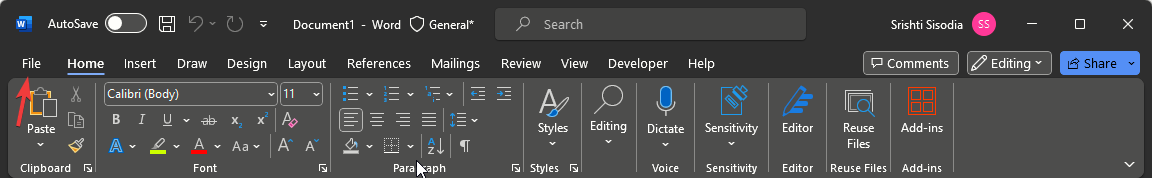 Меню Файл в Microsoft Word