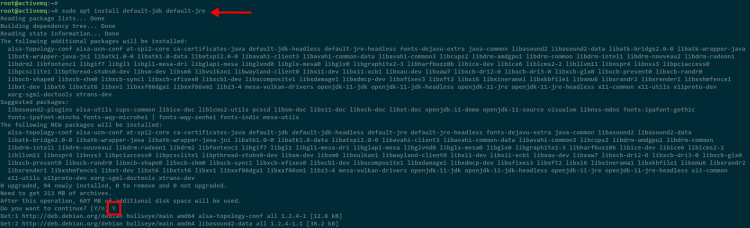 Скриншот установки OpenJDK и JRE на Debian 11
