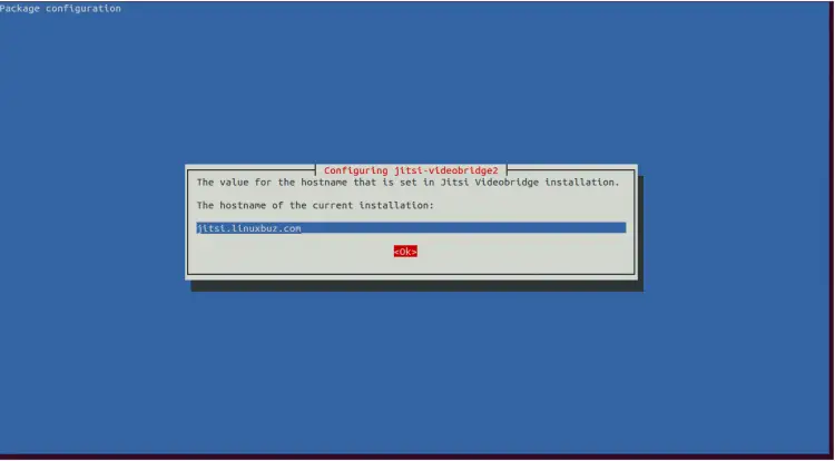 Установка: введите имя хоста