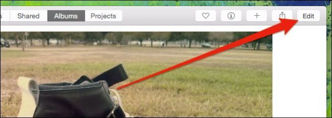 Кнопки избранного, информация и Редактировать в правом верхнем углу окна Photos