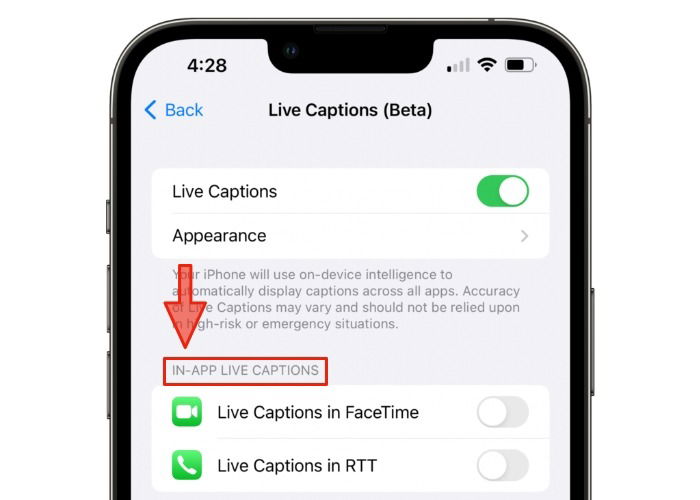 Настройки встроенных субтитров в приложении