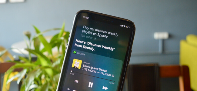 Spotify через Siri на iPhone: настройка и команды