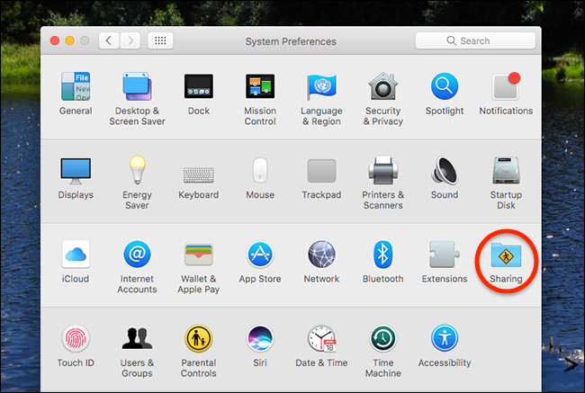 Выделение раздела 