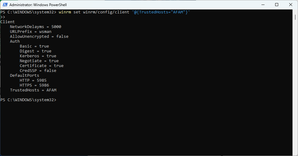 Скриншот: настройка TrustedHosts через winrm