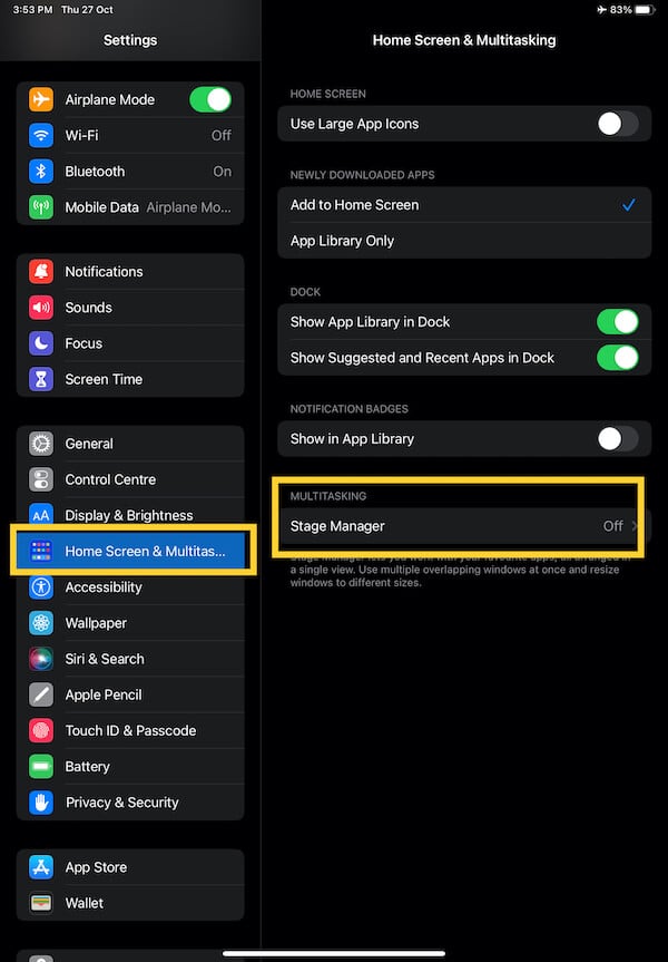 Раздел Экран и многозадачность на iPadOS с опцией Stage Manager