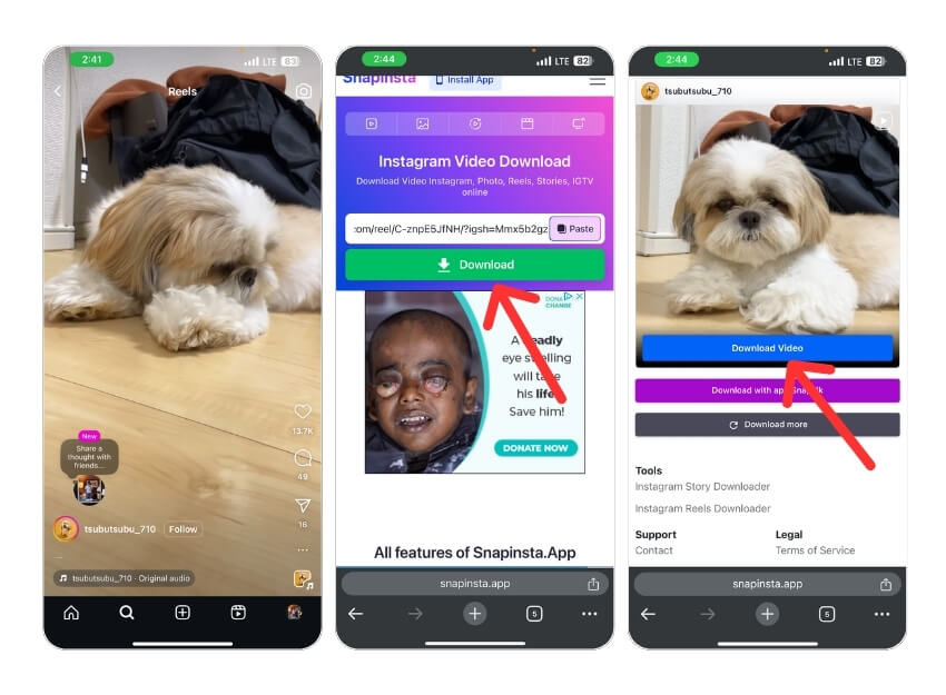 Exemple d'utilisation d'un site tiers pour télécharger un Reel Instagram