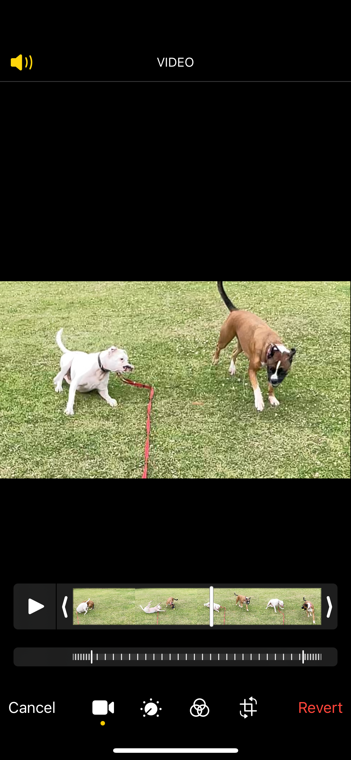  screenshot showing how to undo changes made on an iPhone video showing revert button