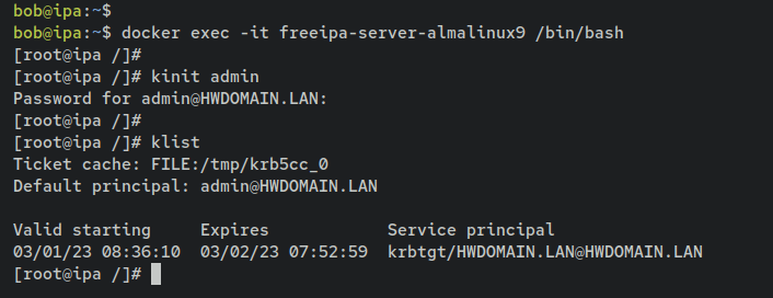 Вход в контейнер FreeIPA