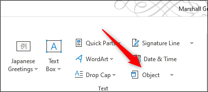 Пункт Объект в группе Текст