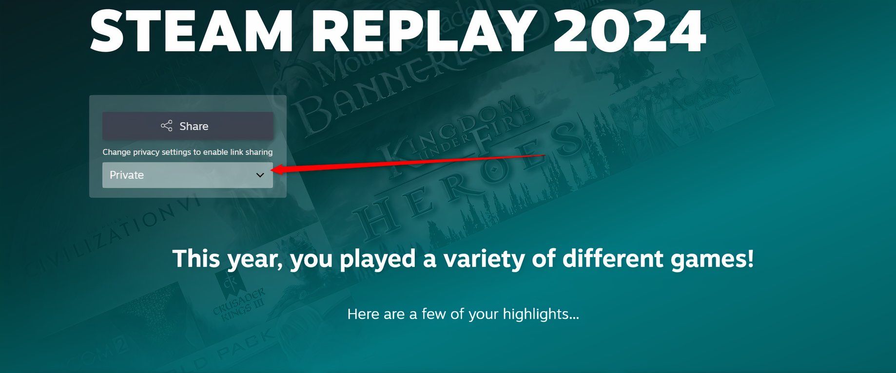 Настройки конфиденциальности на странице Steam Replay