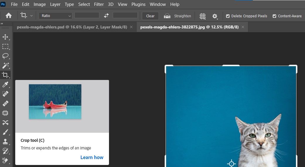 Контент-осознанная обрезка для расширения сцены
