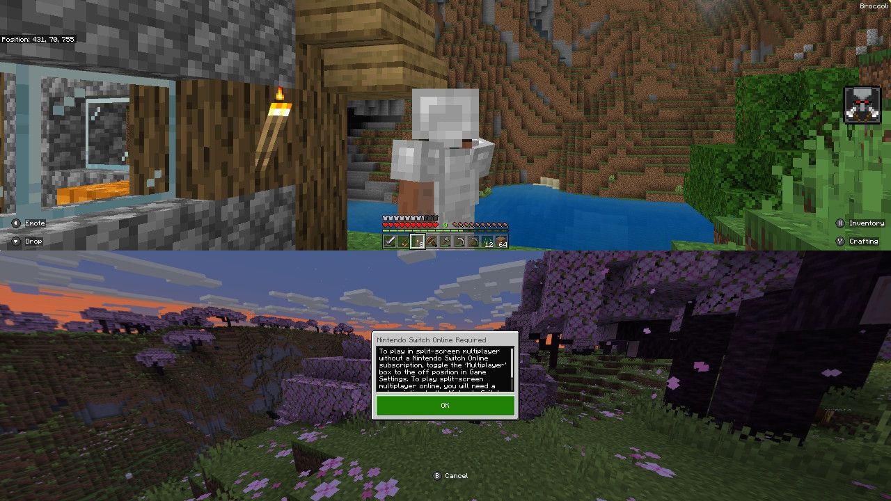 Multiplayer Offline Switch Instruction Box