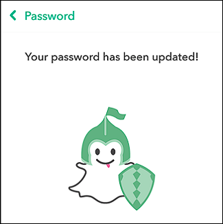 Успешный вход после сброса пароля в Snapchat