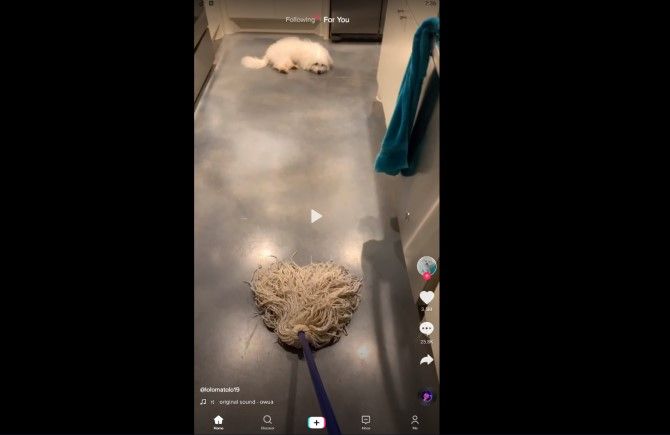 Просмотр ленты TikTok в Bluestacks