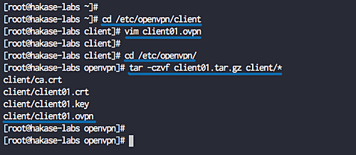 Архивация клиентских конфигураций client01.tar.gz