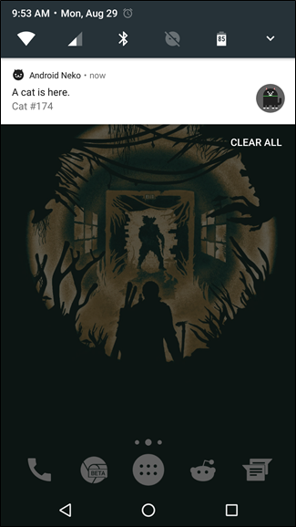 Уведомление о появлении кошки