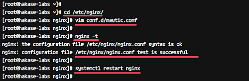 Тест и применение конфигурации Nginx