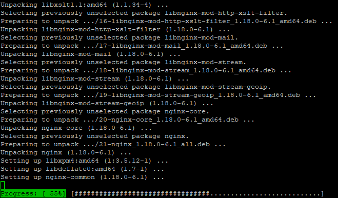 Вывод установки nginx через apt