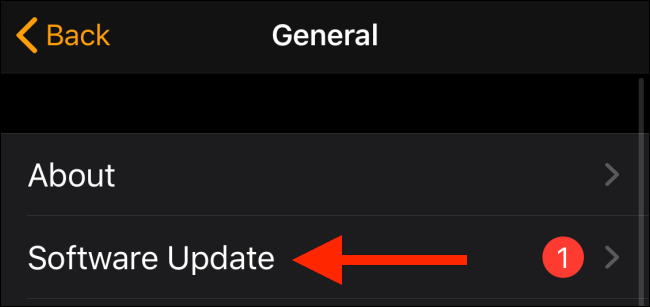 Нажмите «Обновление ПО» в приложении Watch