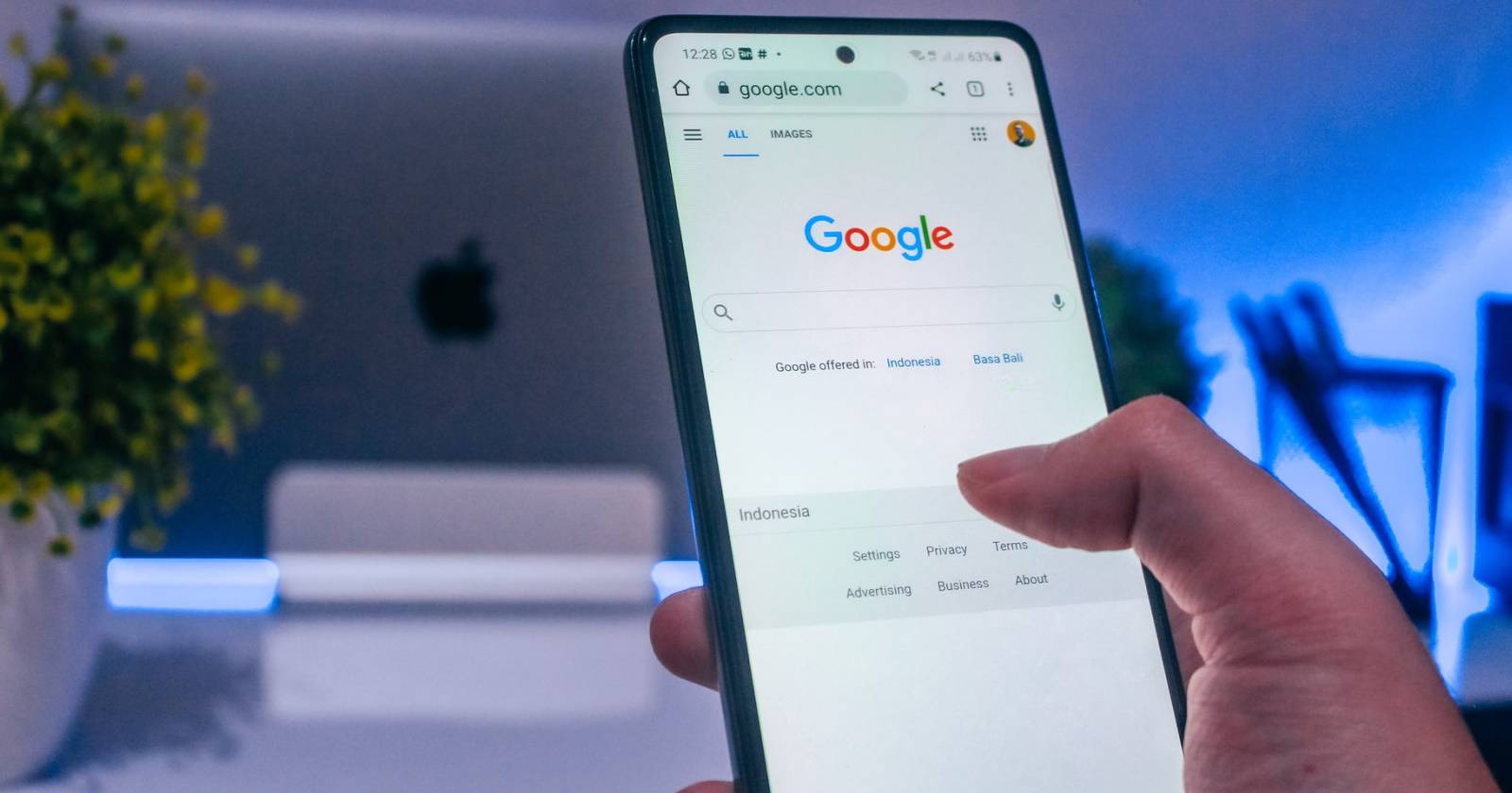 Найти публичные файлы Google Drive — быстрый гид
