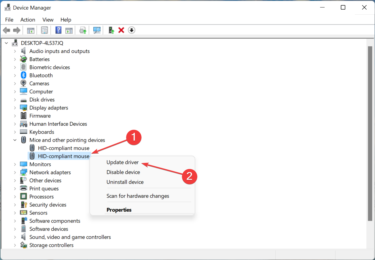 Обновление драйвера устройства через Диспетчер устройств