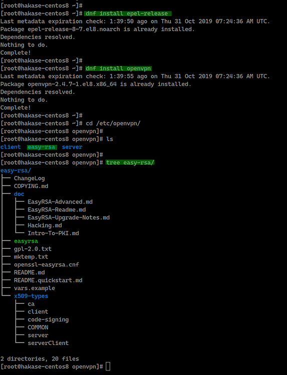 Установка OpenVPN и Easy-RSA на CentOS 8