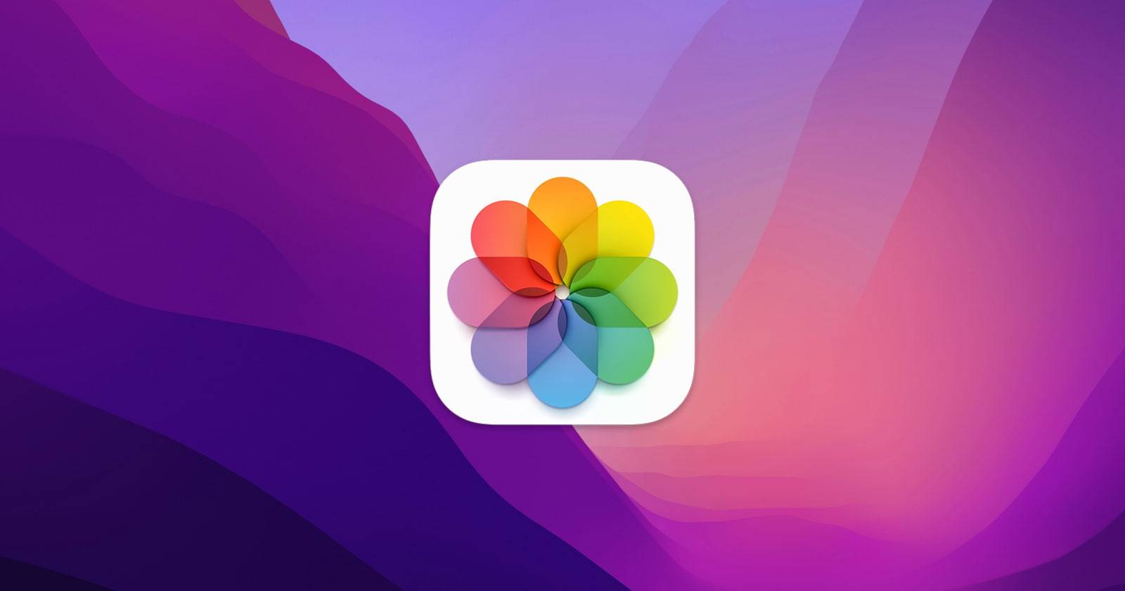 Значок приложения «Фото» на фоне обоев macOS Monterey