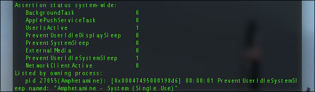 Скриншот вывода pmset, показывающего приложение Amphetamine, мешающее сну