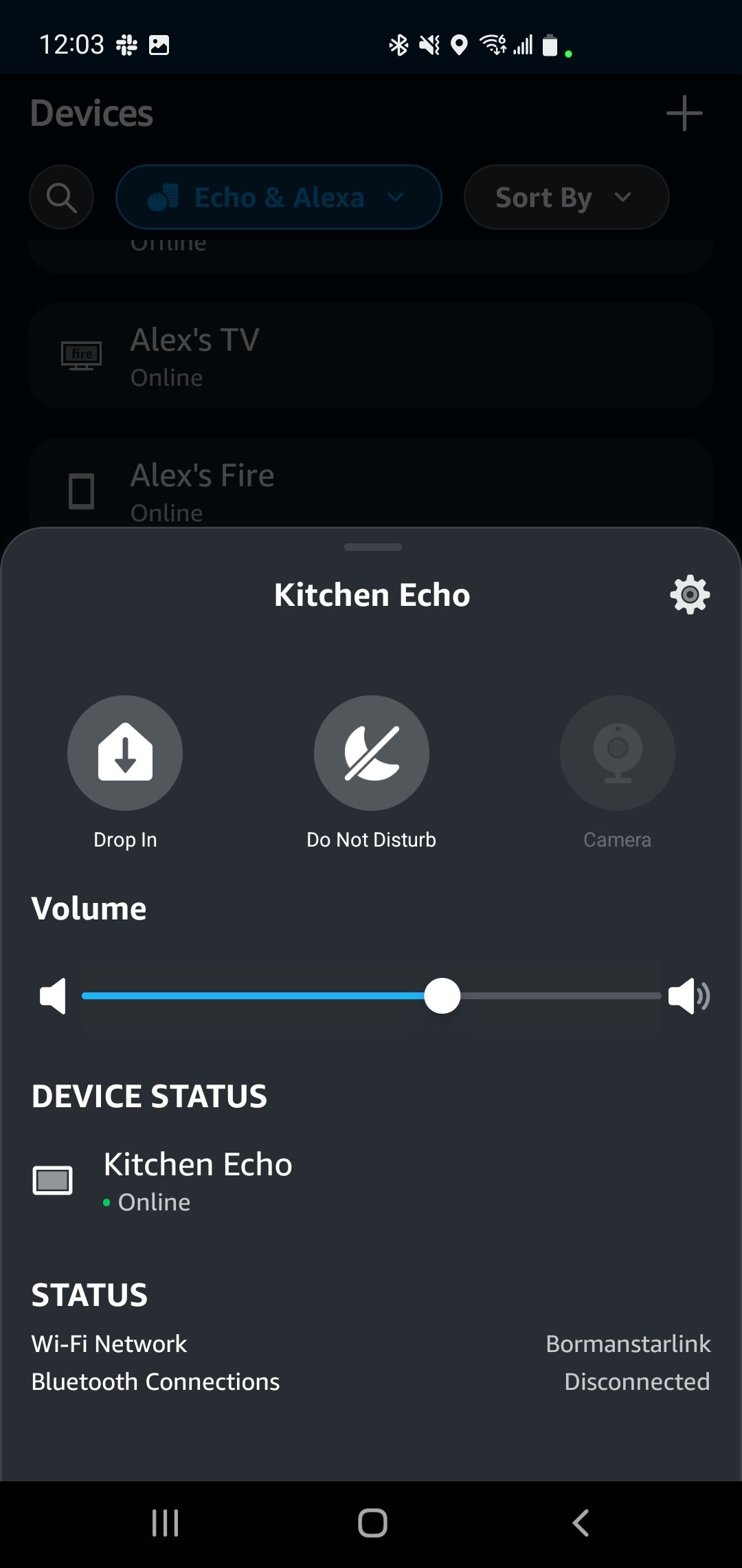 Параметры приватности в Alexa для Echo.