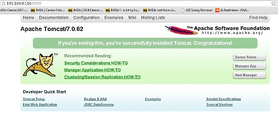 Страница приветствия Apache Tomcat в браузере с подтверждением установки