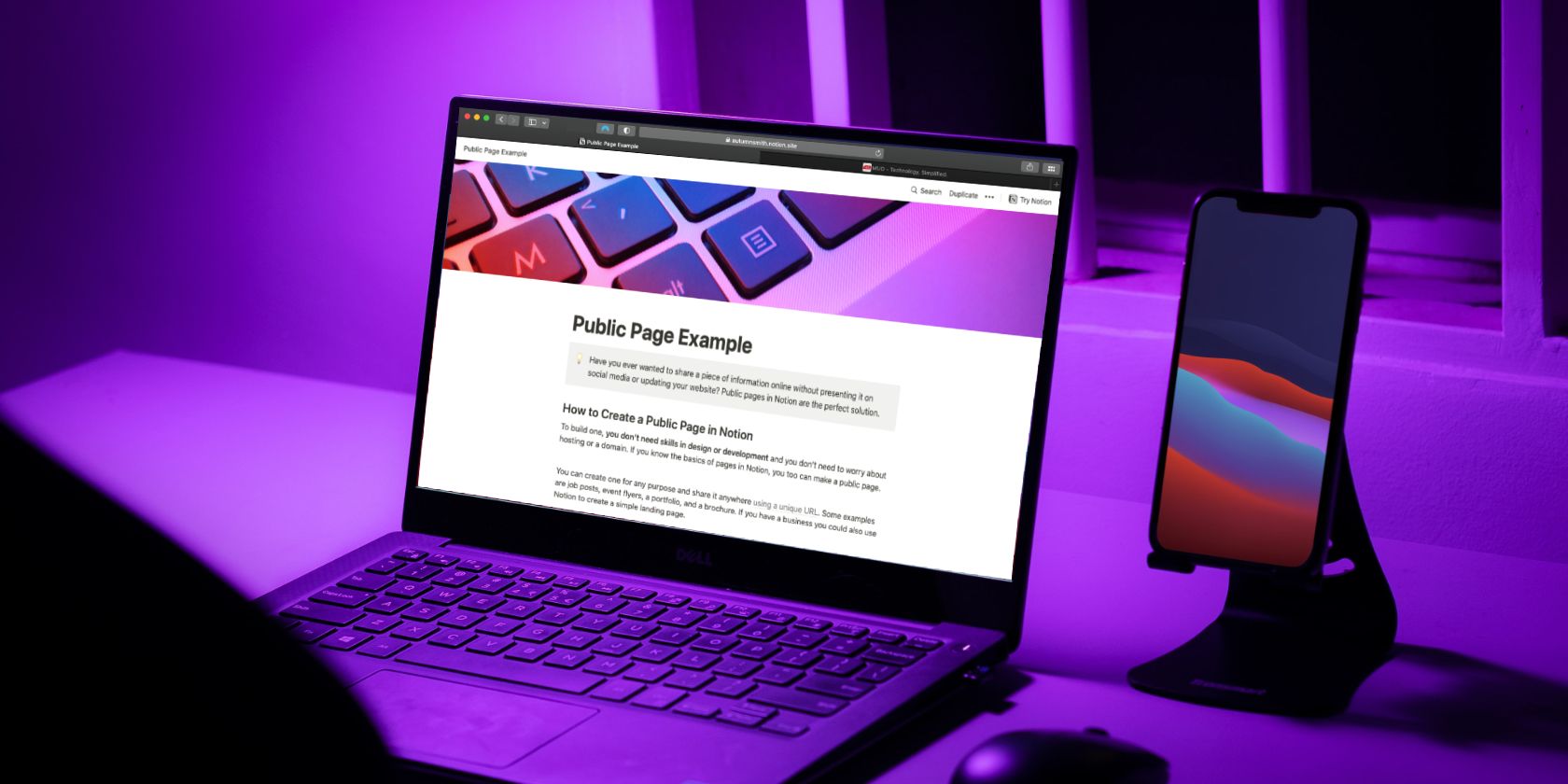 Публичные страницы в Notion: полное руководство