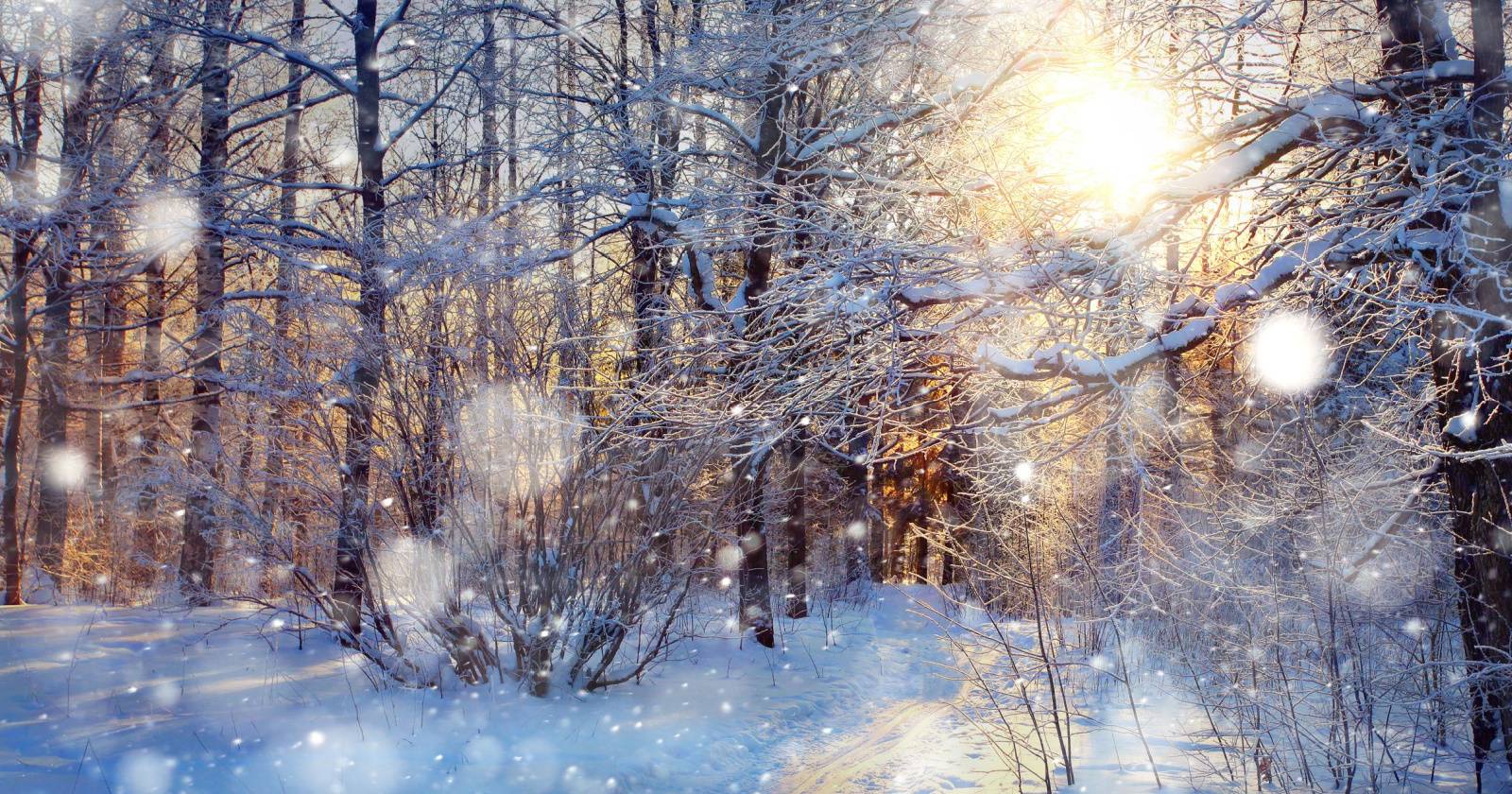 windows-snowfall-featured