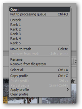 Изображение загружается в центральное окно предпросмотра