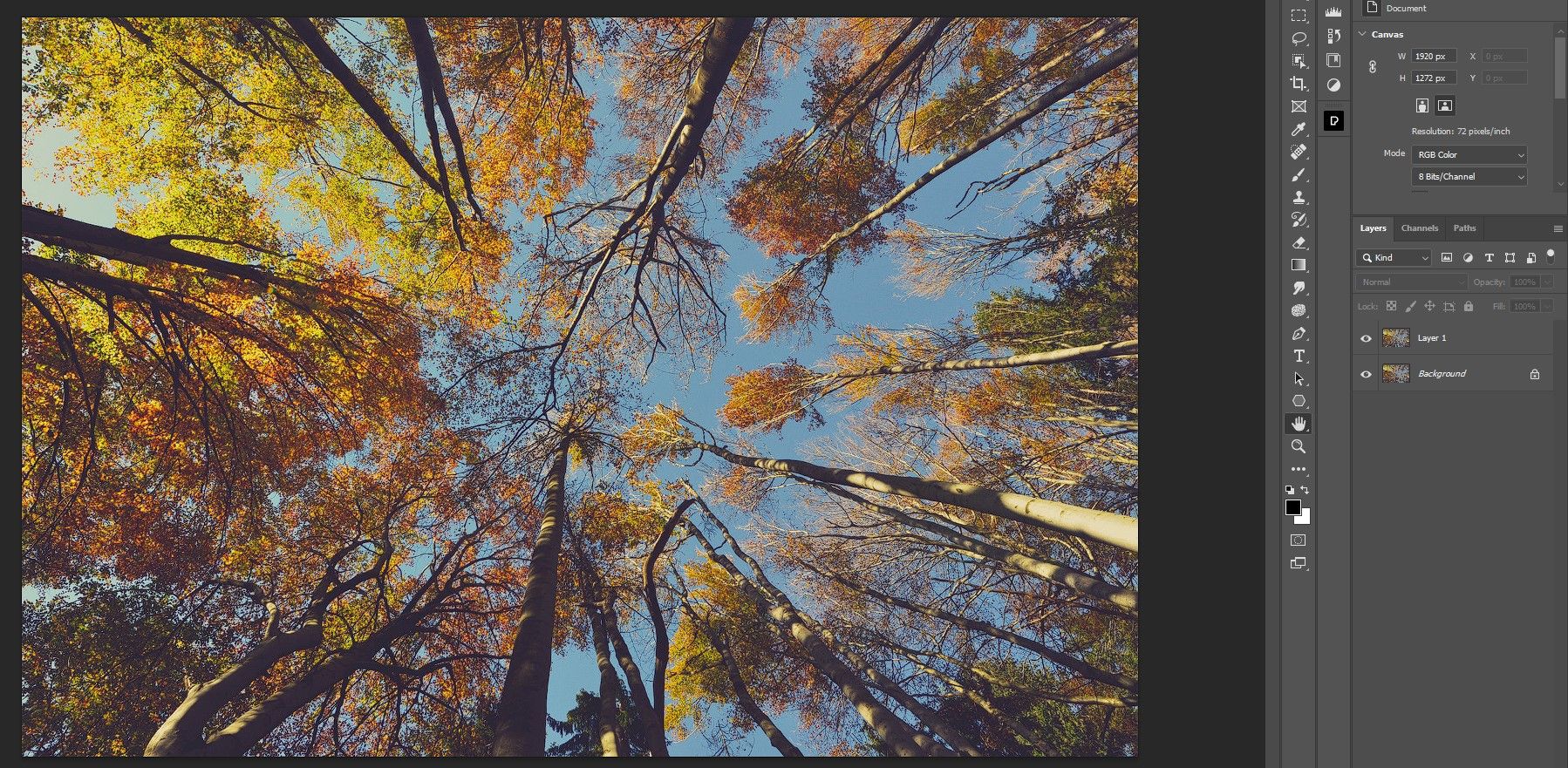 Дублирование фонового слоя