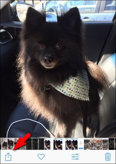 Кнопка «Поделиться» в iOS Share Sheet