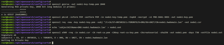 Генерация сертификатов для узла OpenSearch