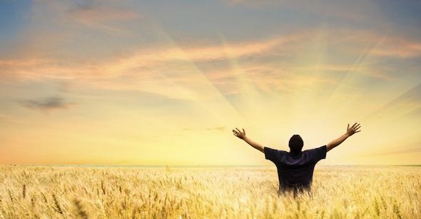 Иллюстрация: терминал с командой wget и списком файлов