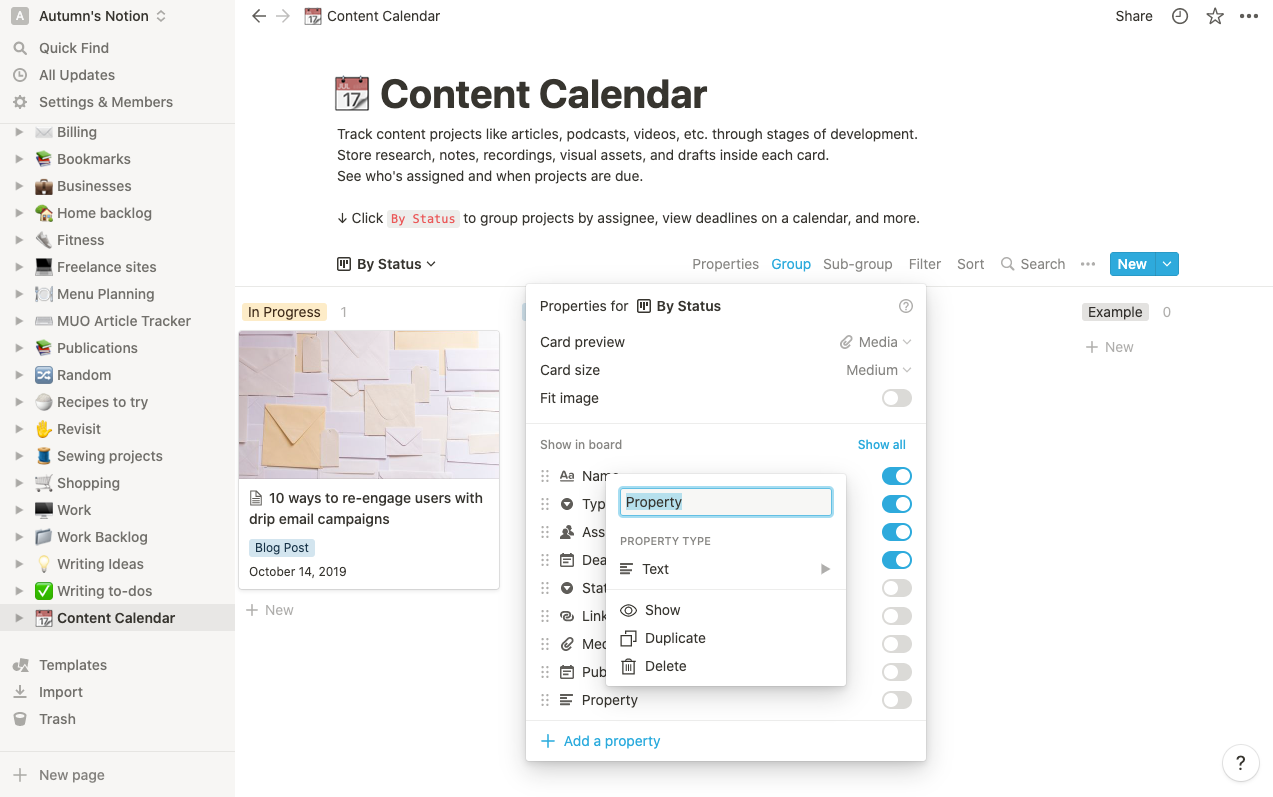 Скриншот меню опций с добавлением свойства