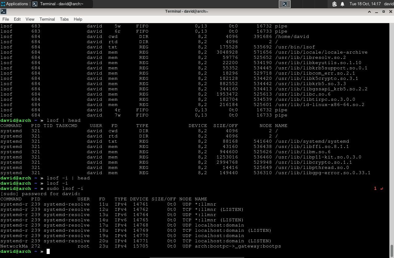 Вывод команды lsof в терминале