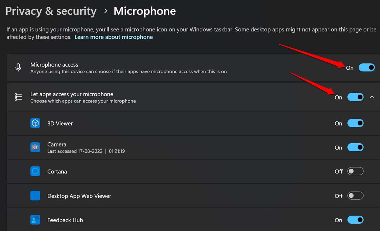 enable Microphone access permission Windows 11