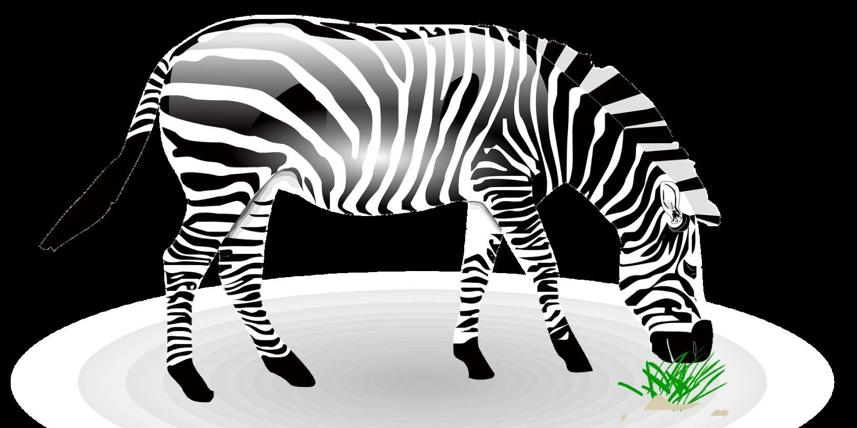 Google 3D животные в AR — как смотреть и использовать