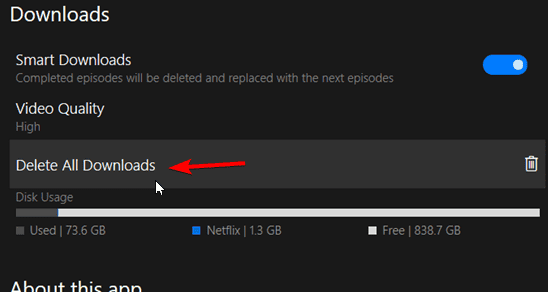 Lista de descargas y opción para eliminar en la app de Netflix