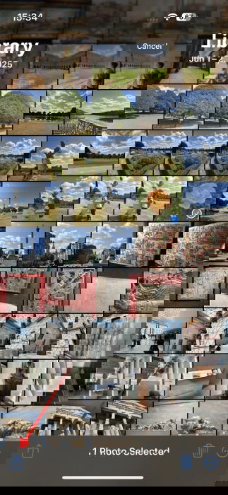 Нажатие кнопки Поделиться для выбранного изображения в приложении Фото на iPhone