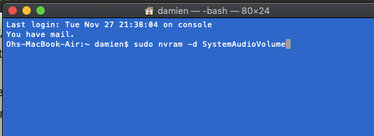Terminal с примером команды для восстановления звука запуска