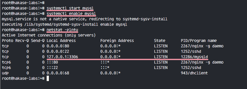 Запуск и тест MariaDB