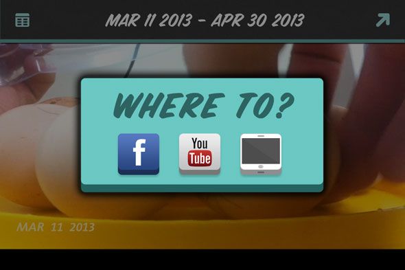 Интерфейс выбора шаблона и предпросмотра