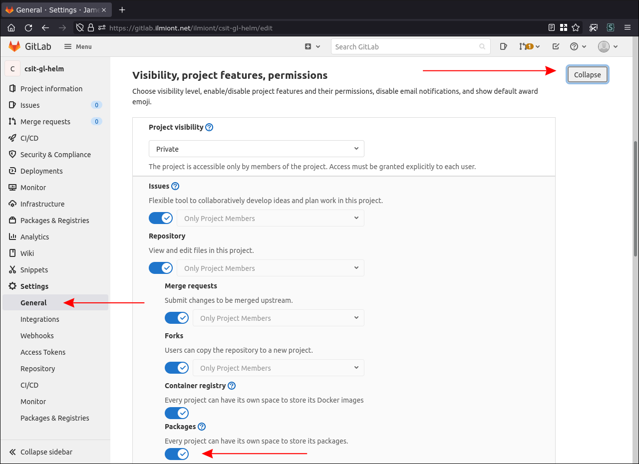 Скриншот: включение реестра пакетов для проекта в GitLab