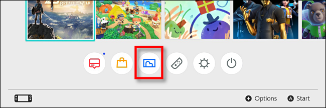 Иконка Альбома на главном экране Nintendo Switch