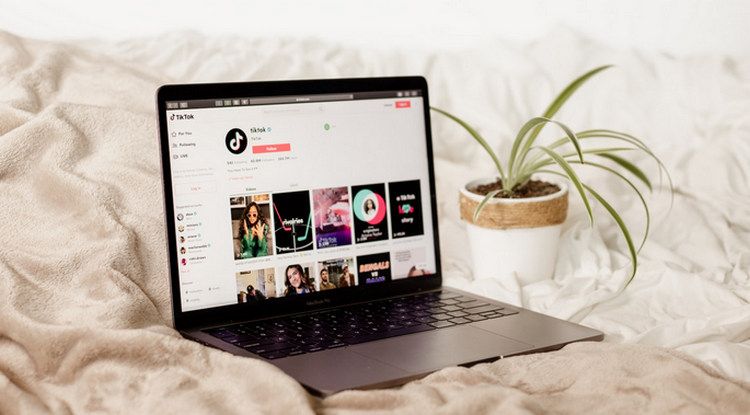 TikTok на ноутбуке