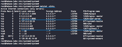 Seafile через systemd